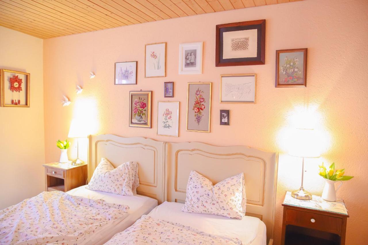 Frau Meise Bed & Breakfast Baden Exterior photo